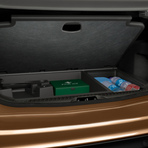 Organizator prtljažnika